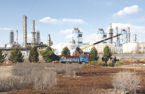 松鼠直播平台展示